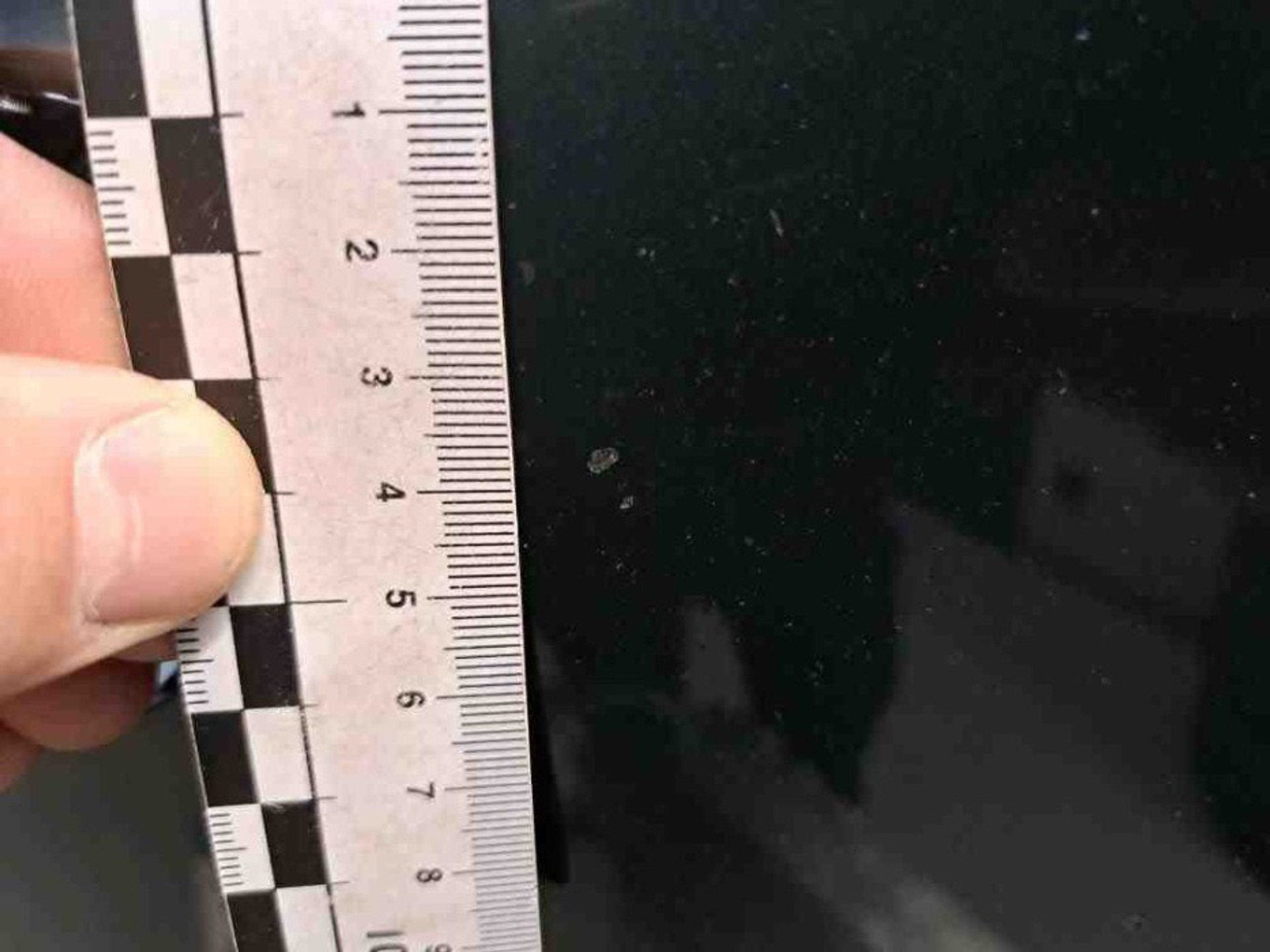 44737065-39.jpg